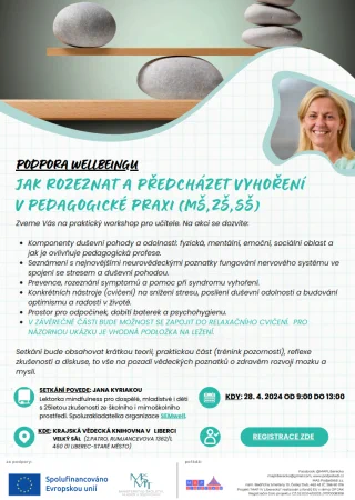 Snímek obrazovky 2025-04-08 105215